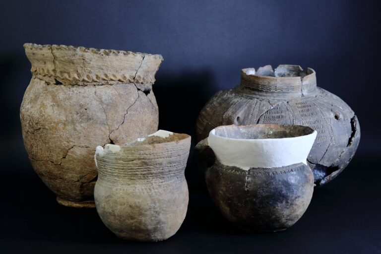 Wybrane materiały ceramiczne kultury złockiej ze zbiorów Muzeum Zamkowego w Sandomierzu (fot. M. Mroczka)